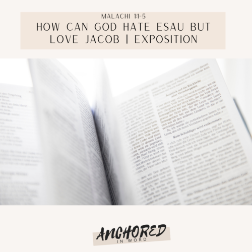 How can God hate Esau but Love Jacob | EXPOSITION