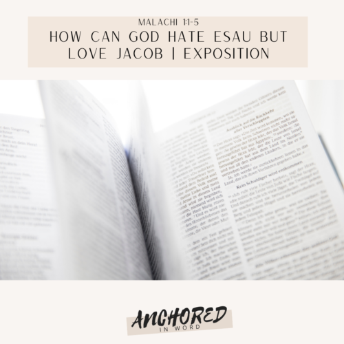 How can god hate esau but love jacob